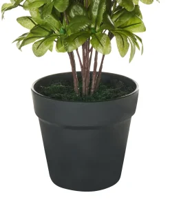 Discount Beliani Pianta artificiale NOVELLA 36 cm Rosa Verde Nero Rosa
