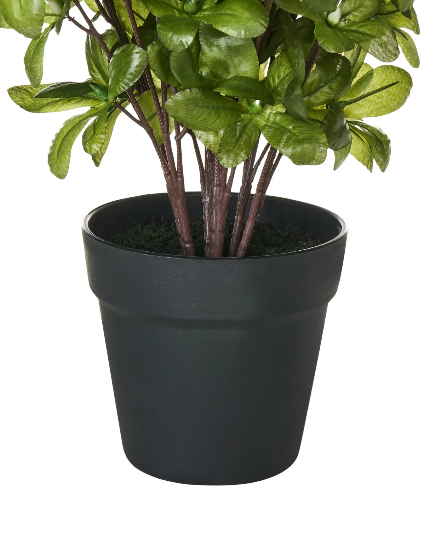 Beliani Pianta artificiale NOVELLA 36 cm Bianco Bianco Verde Nero
