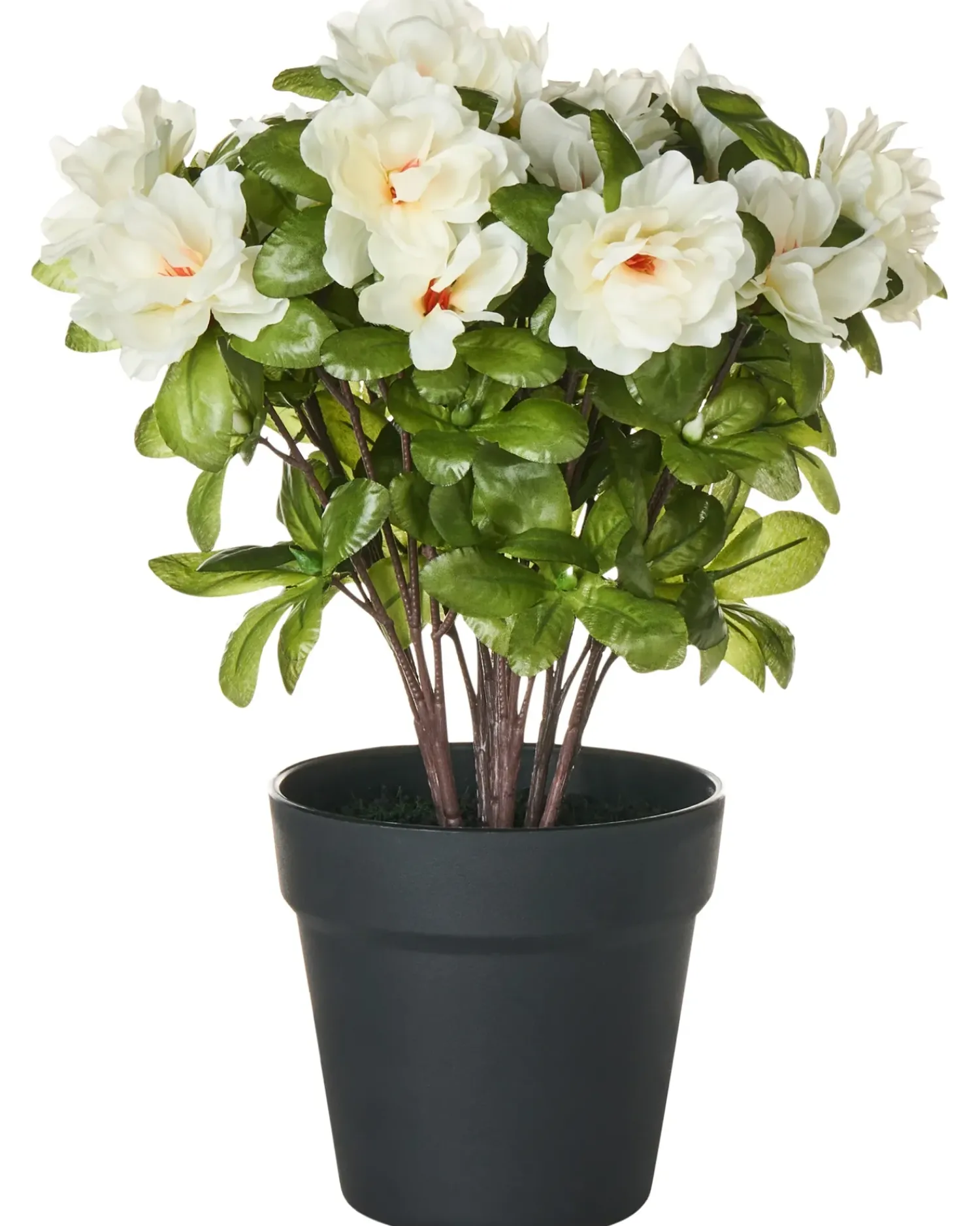 Beliani Pianta artificiale NOVELLA 36 cm Bianco Bianco Verde Nero