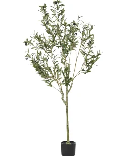 Hot Beliani Pianta artificiale OLIVE TREE Verde Nero Verde