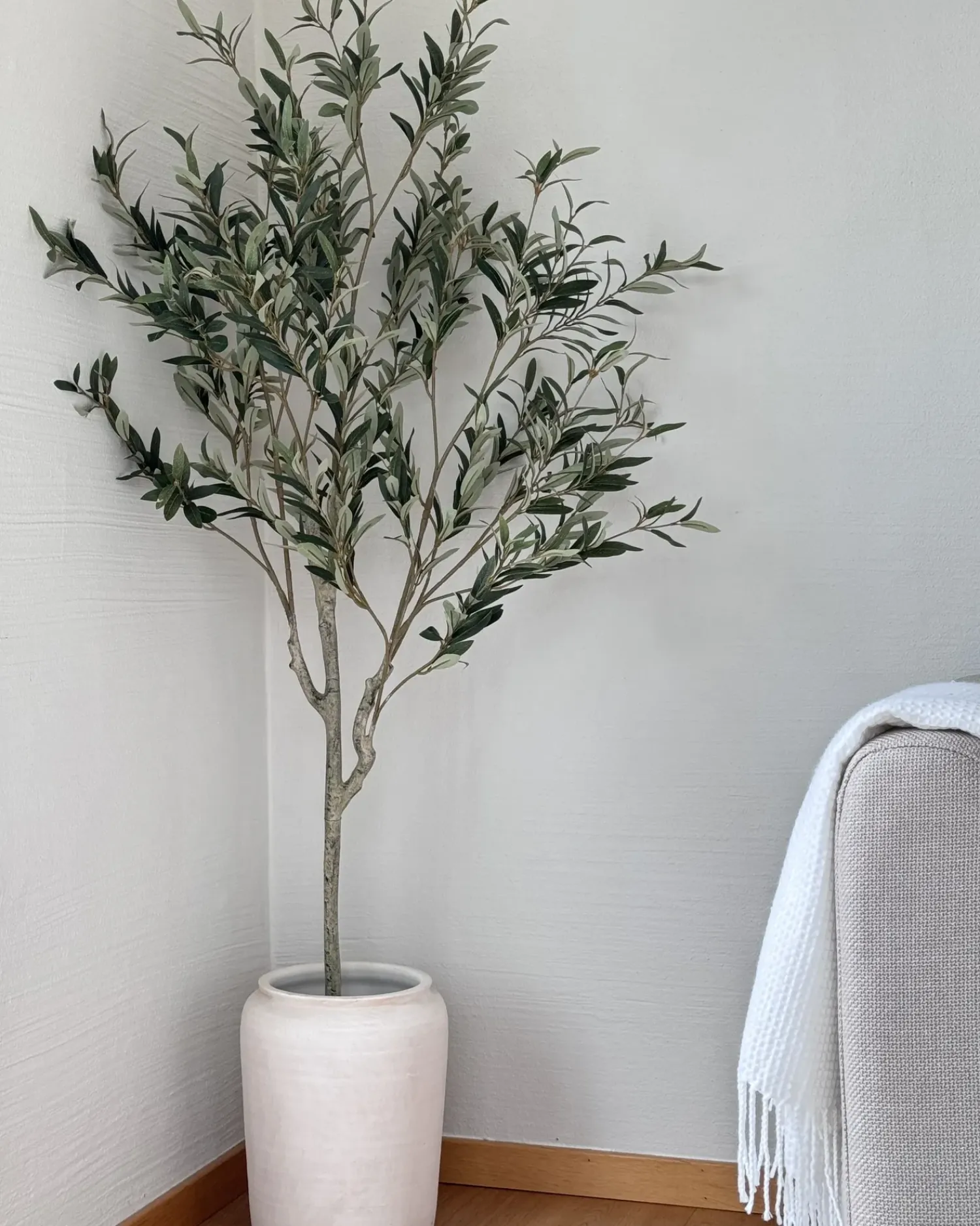 Hot Beliani Pianta artificiale OLIVE TREE Verde Nero Verde
