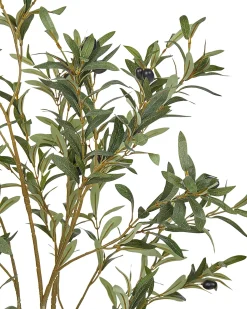 Hot Beliani Pianta artificiale OLIVE TREE Verde Nero Verde