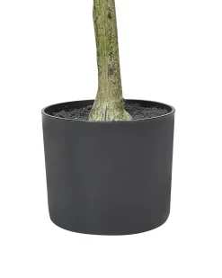 Hot Beliani Pianta artificiale OLIVE TREE Verde Nero Verde