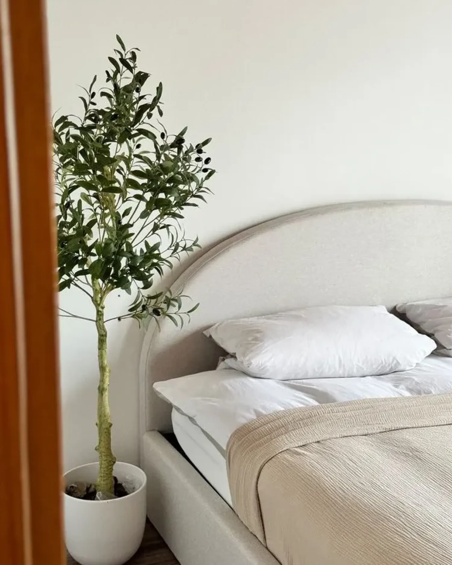 Hot Beliani Pianta artificiale OLIVE TREE Verde Nero Verde