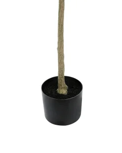 Discount Beliani Pianta artificiale OLIVE TREE Verde Nero Verde