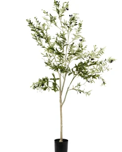 Discount Beliani Pianta artificiale OLIVE TREE Verde Nero Verde
