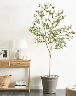 Discount Beliani Pianta artificiale OLIVE TREE Verde Nero Verde