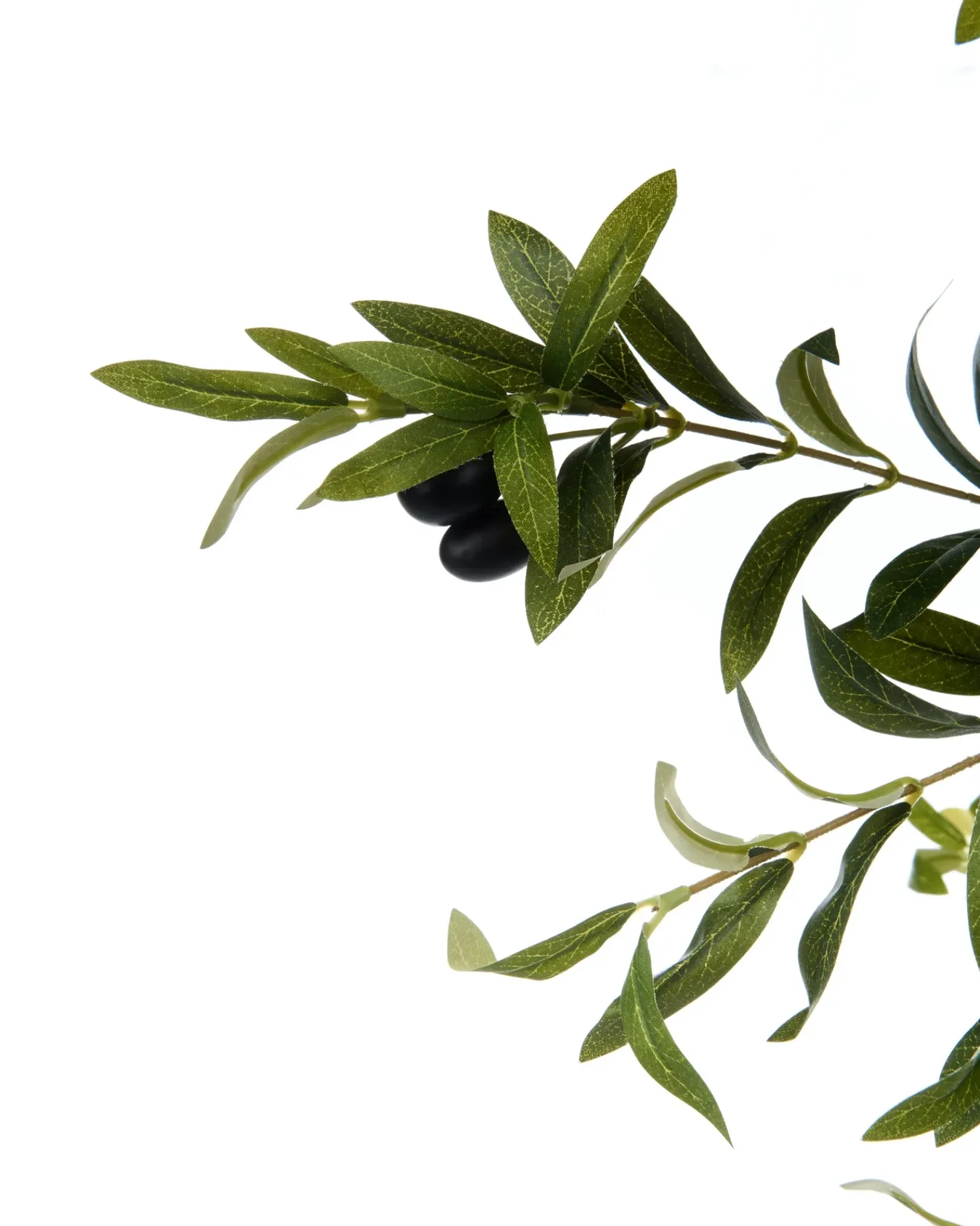 Discount Beliani Pianta artificiale OLIVE TREE Verde Nero Verde