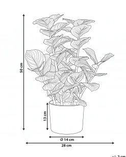 Best Beliani Pianta artificiale ORBIFOLIA 50 cm Verde Verde Nero