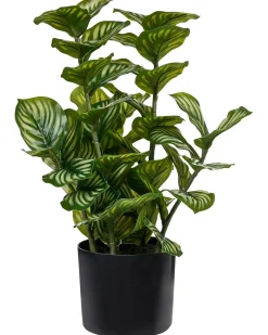 Best Beliani Pianta artificiale ORBIFOLIA 50 cm Verde Verde Nero