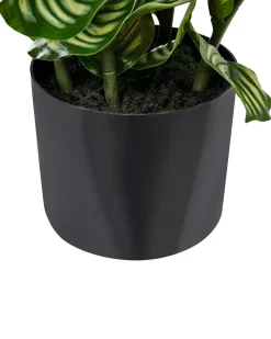 Best Beliani Pianta artificiale ORBIFOLIA 50 cm Verde Verde Nero