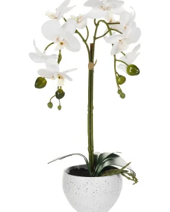 Hot Beliani Pianta artificiale ORCHID Bianco Bianco Verde
