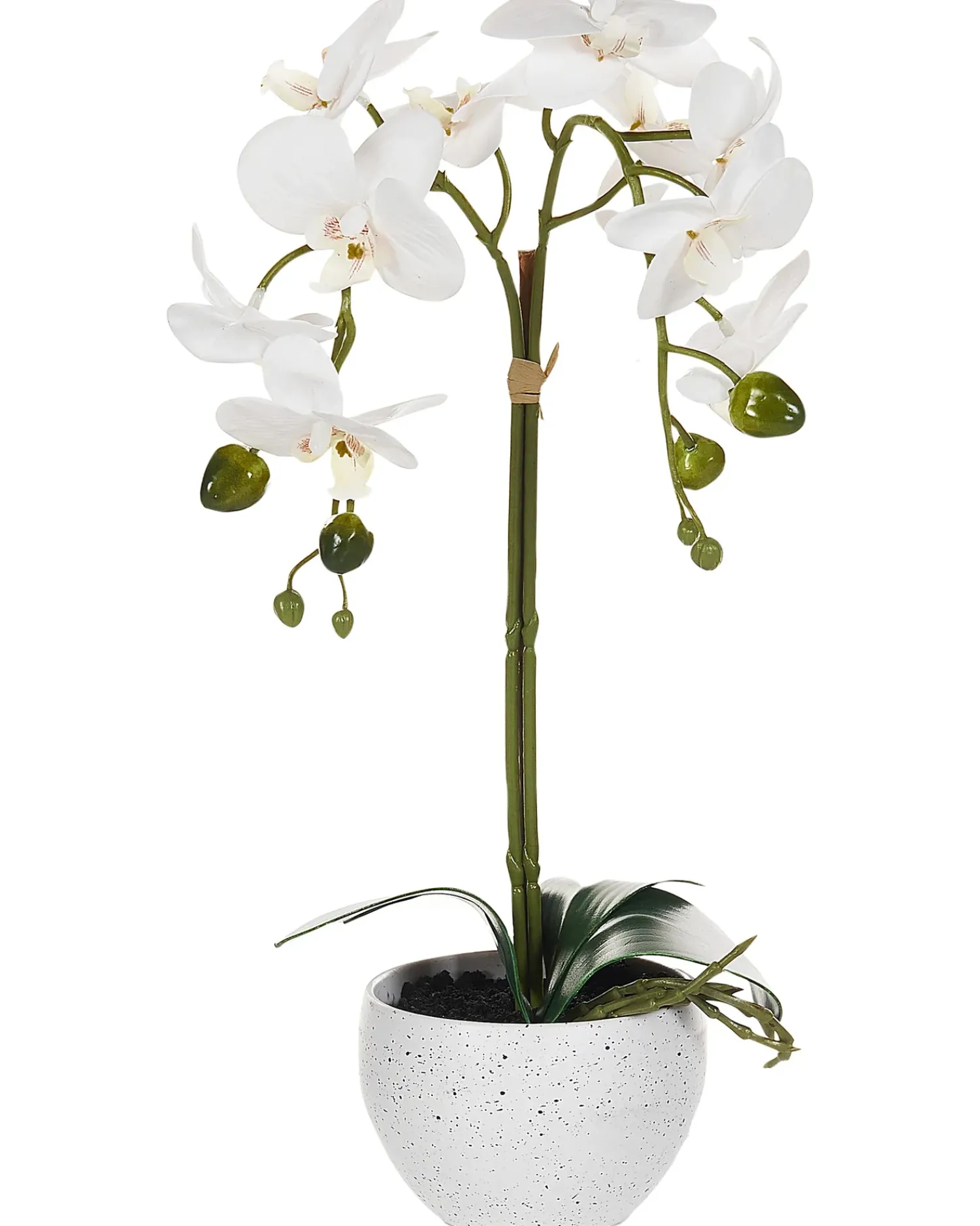 Hot Beliani Pianta artificiale ORCHID Bianco Bianco Verde
