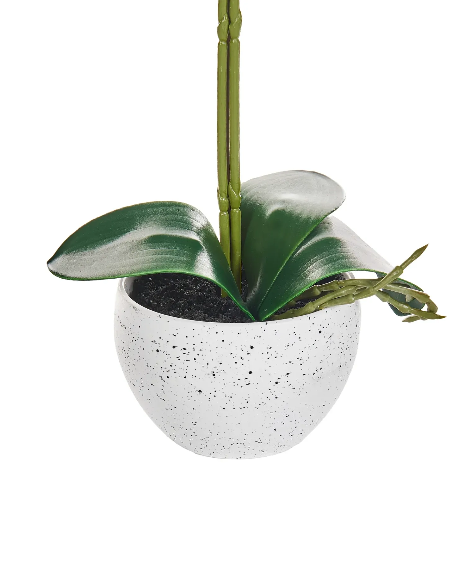 Hot Beliani Pianta artificiale ORCHID Bianco Bianco Verde