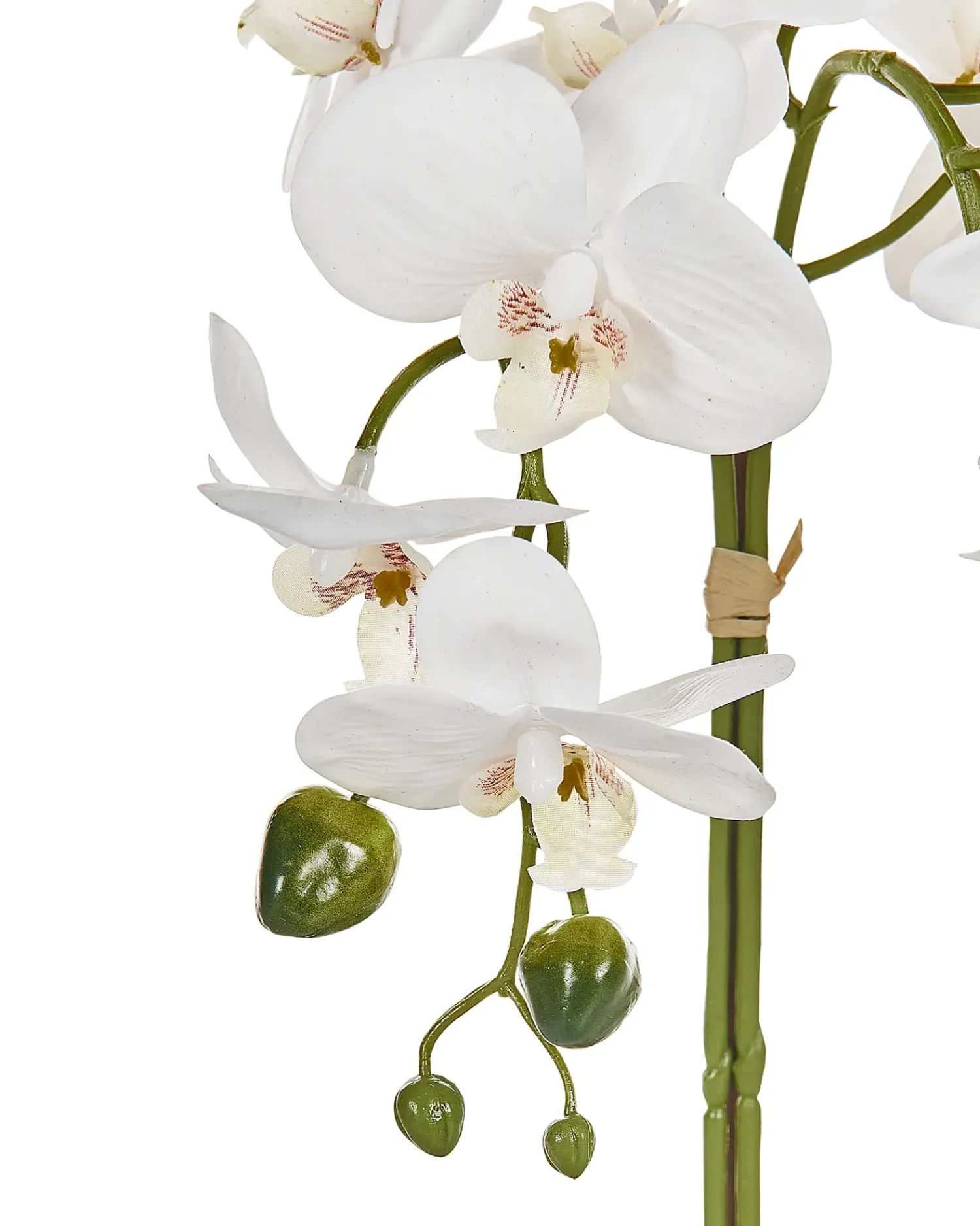 Hot Beliani Pianta artificiale ORCHID Bianco Bianco Verde