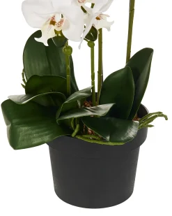 Hot Beliani Pianta artificiale ORCHID Bianco Bianco Verde