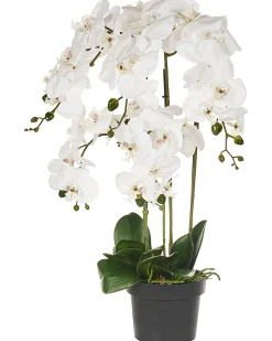 Hot Beliani Pianta artificiale ORCHID Bianco Bianco Verde