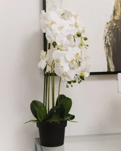 Hot Beliani Pianta artificiale ORCHID Bianco Bianco Verde