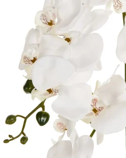 Hot Beliani Pianta artificiale ORCHID Bianco Bianco Verde