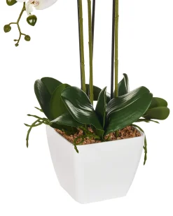 Outlet Beliani Pianta artificiale ORCHID Bianco Bianco Verde