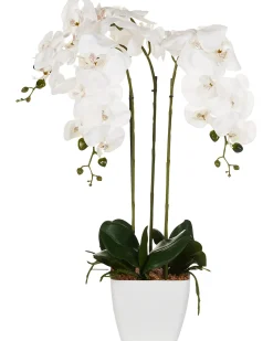 Outlet Beliani Pianta artificiale ORCHID Bianco Bianco Verde