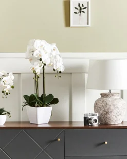 Outlet Beliani Pianta artificiale ORCHID Bianco Bianco Verde