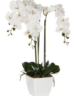 Outlet Beliani Pianta artificiale ORCHID Bianco Bianco Verde