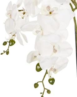 Outlet Beliani Pianta artificiale ORCHID Bianco Bianco Verde