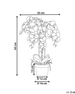 Online Beliani Pianta artificiale ORCHID 65 cm Rosa Rosa Verde