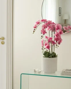 Online Beliani Pianta artificiale ORCHID 65 cm Rosa Rosa Verde