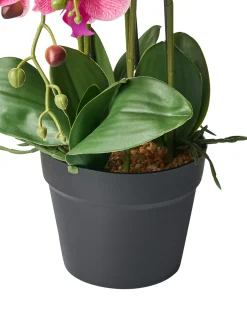 Online Beliani Pianta artificiale ORCHID 65 cm Rosa Rosa Verde