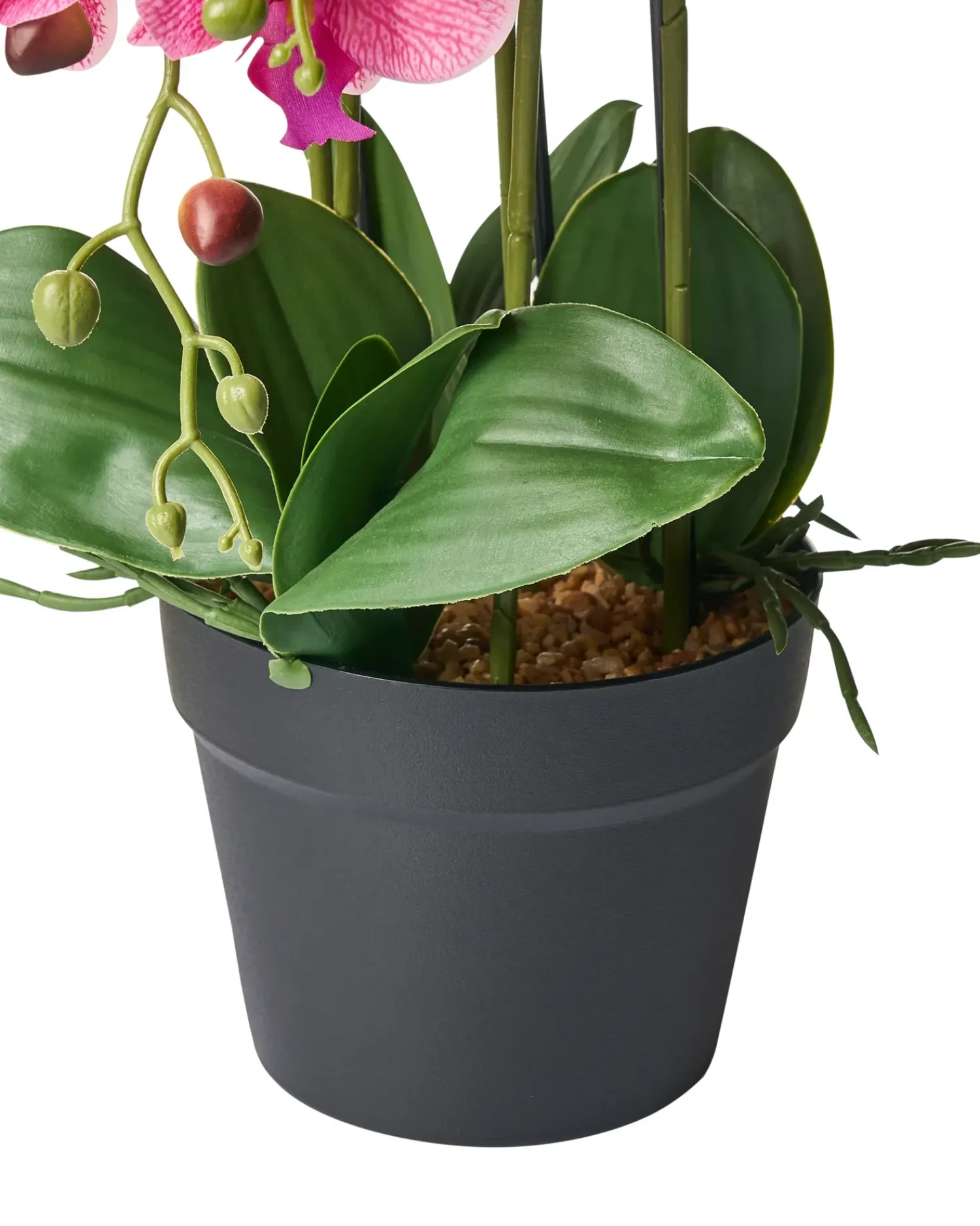 Online Beliani Pianta artificiale ORCHID 65 cm Rosa Rosa Verde