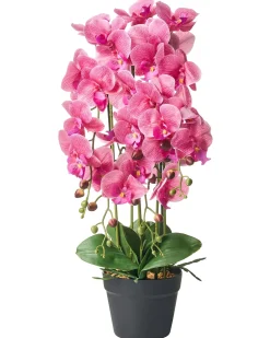 Online Beliani Pianta artificiale ORCHID 65 cm Rosa Rosa Verde