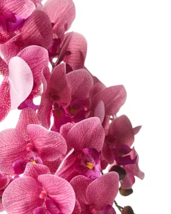 Online Beliani Pianta artificiale ORCHID 65 cm Rosa Rosa Verde