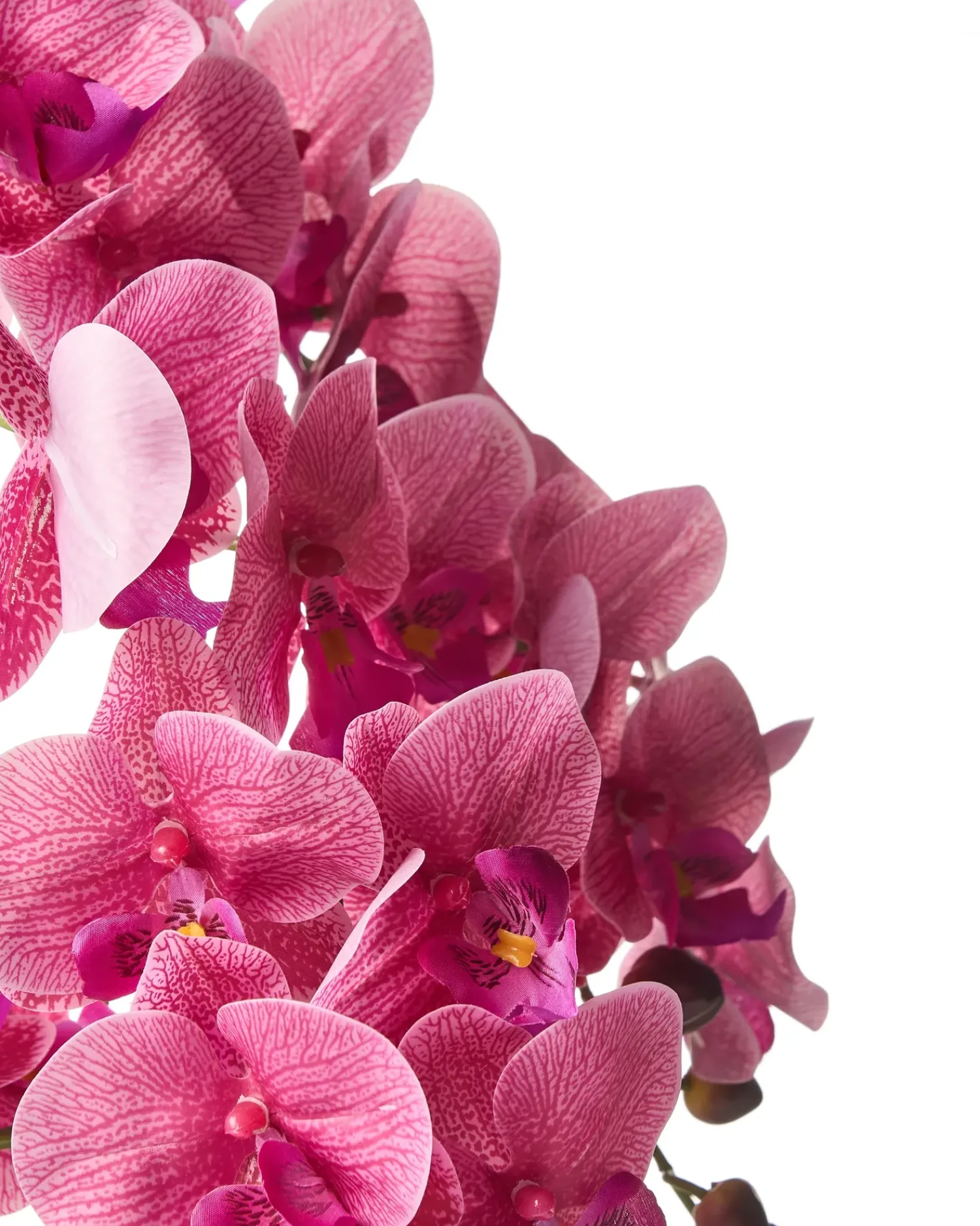 Online Beliani Pianta artificiale ORCHID 65 cm Rosa Rosa Verde