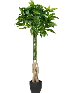 Online Beliani Pianta artificiale PACHIRA TREE 120 cm Verde Nero Verde