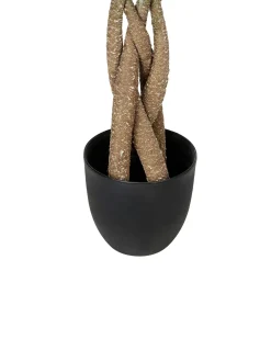 Online Beliani Pianta artificiale PACHIRA TREE 120 cm Verde Nero Verde