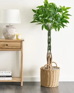 Online Beliani Pianta artificiale PACHIRA TREE 120 cm Verde Nero Verde