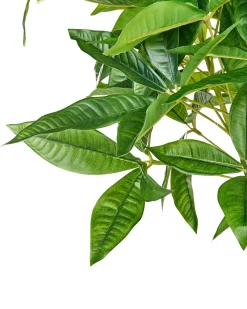Online Beliani Pianta artificiale PACHIRA TREE 120 cm Verde Nero Verde