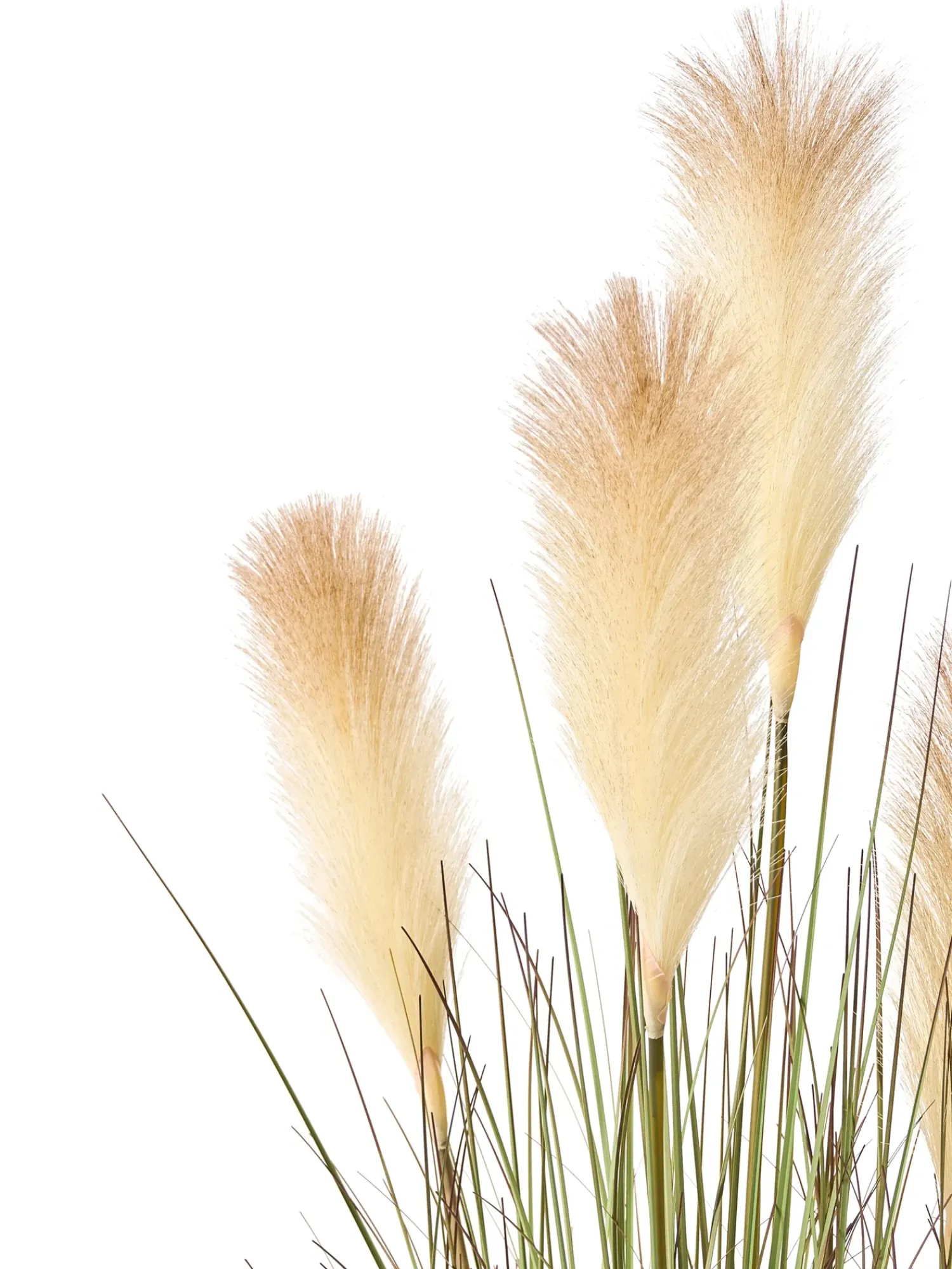 Online Beliani Pianta artificiale PAMPAS GRASS 120 cm Verde Beige Verde Nero
