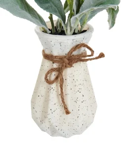 Hot Beliani Pianta artificiale PEPEROMIA ARGYREIA 30 cm Verde Nero Verde