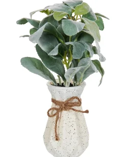 Hot Beliani Pianta artificiale PEPEROMIA ARGYREIA 30 cm Verde Nero Verde