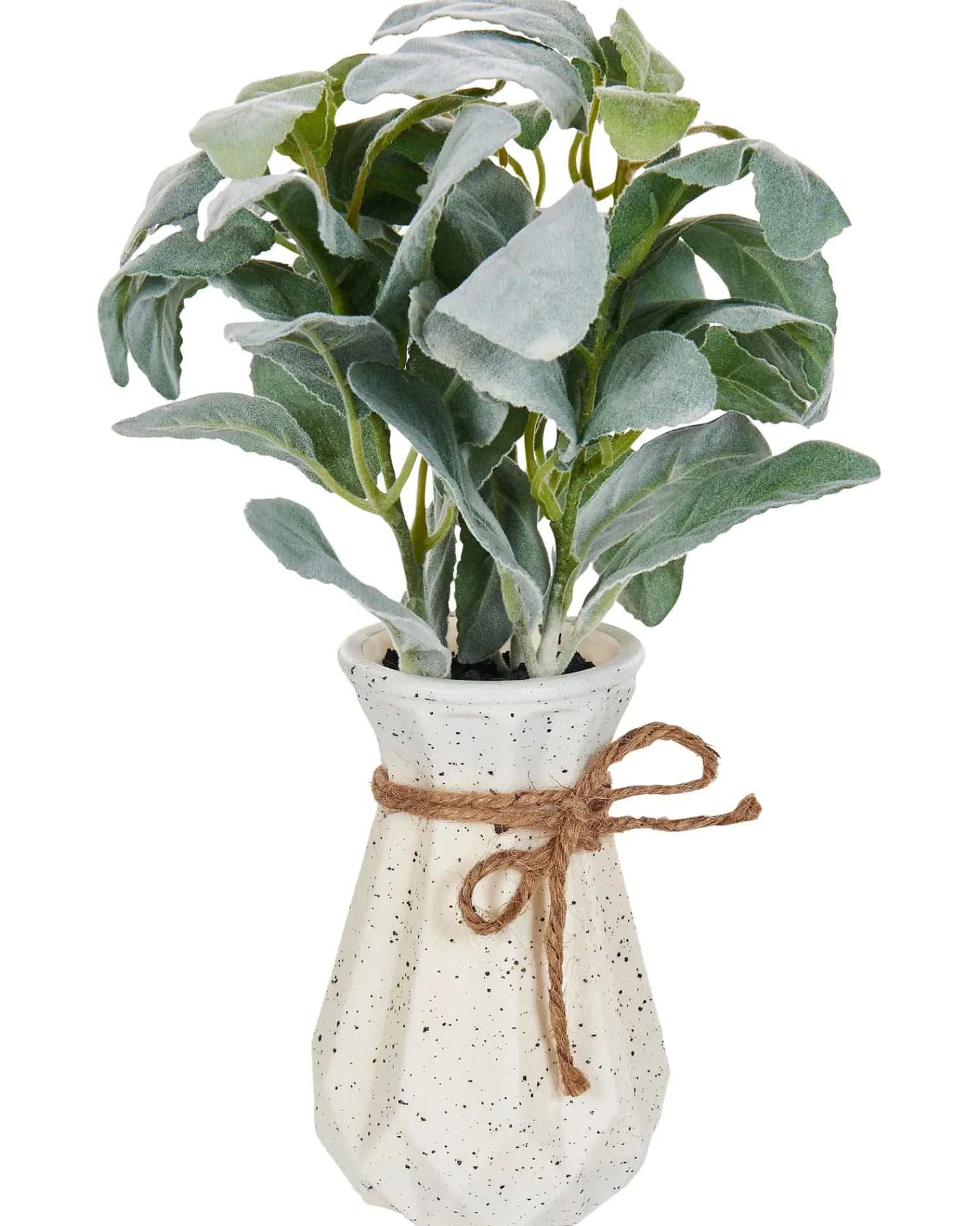 Hot Beliani Pianta artificiale PEPEROMIA ARGYREIA 30 cm Verde Nero Verde