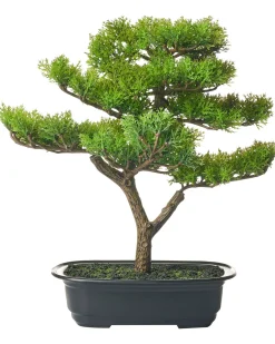 Outlet Beliani Pianta artificiale PINE Verde Verde Nero