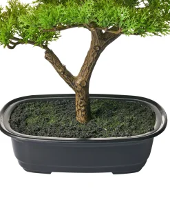 Outlet Beliani Pianta artificiale PINE Verde Verde Nero