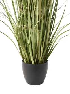 Best Beliani Pianta artificiale POMPOM GRASS 120 cm Verde Verde Nero Rosa