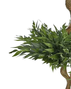 Discount Beliani Pianta artificiale RUSCUS TREE 166 cm Verde Nero Verde