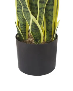Clearance Beliani Pianta artificiale SNAKE PLANT Verde Verde Nero