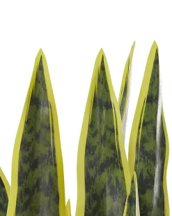 Clearance Beliani Pianta artificiale SNAKE PLANT Verde Verde Nero