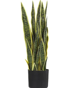 Clearance Beliani Pianta artificiale SNAKE PLANT Verde Verde Nero